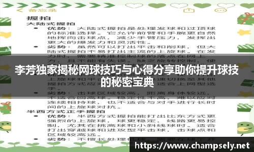 李芳独家揭秘网球技巧与心得分享助你提升球技的秘密宝典