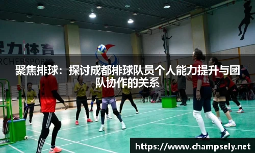 聚焦排球：探讨成都排球队员个人能力提升与团队协作的关系