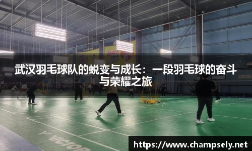 武汉羽毛球队的蜕变与成长：一段羽毛球的奋斗与荣耀之旅