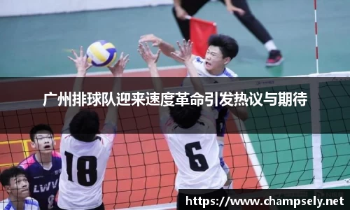 广州排球队迎来速度革命引发热议与期待
